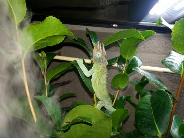 20130115_162418.jpg