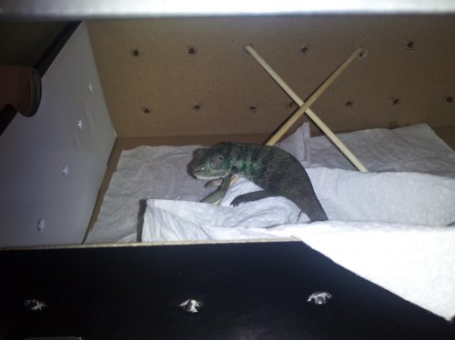 2013-01-15 15.48.05.jpg