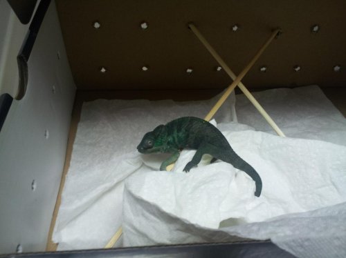 2013-01-15 15.47.25.jpg