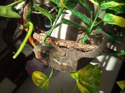 2013-01-17 09.44.39.jpg