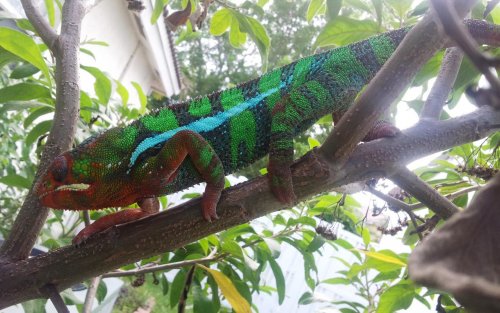 Emebeleco 16 mo #4.jpg