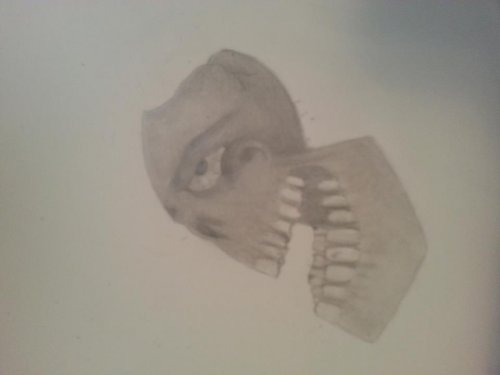 skull.jpg