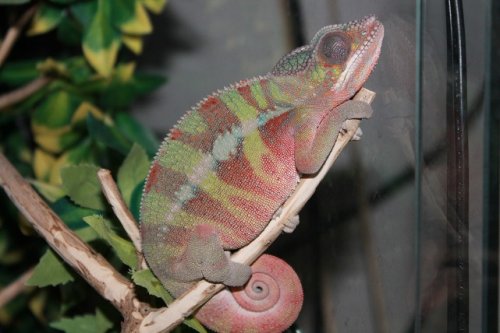 IMG_8611.JPG