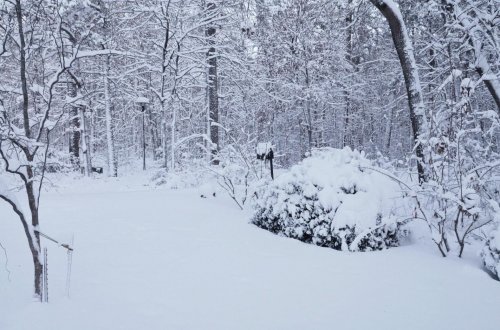 White Christmas 2012 002.jpg