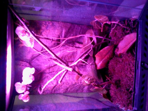 2013-01-20 19.29.38.jpg