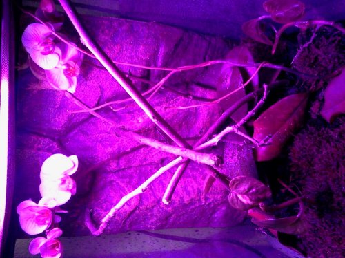 2013-01-20 19.29.25.jpg