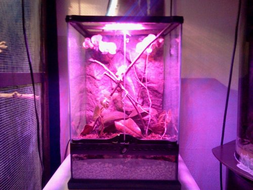 2013-01-20 19.28.23.jpg