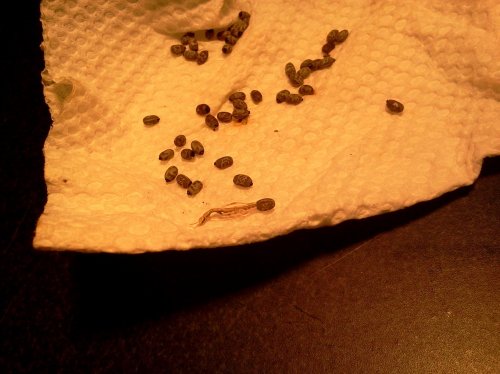 2013-01-14 19.30.34.jpg