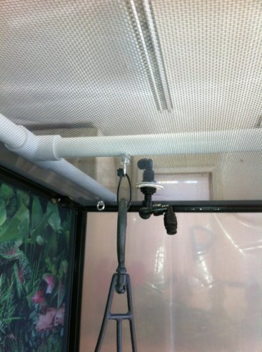 ImageUploadedByTapatalk1358779140.296620.jpg