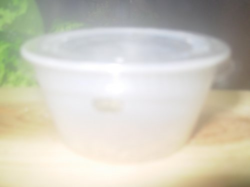 DSCN0032.jpg