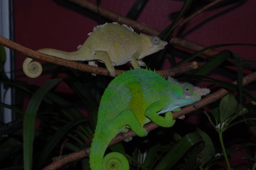 lovely couple 004.jpg