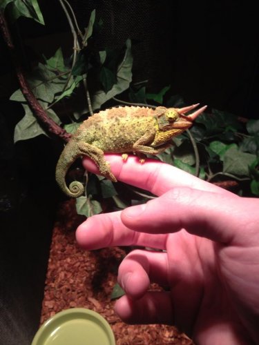 First Day with Jackson's.jpg