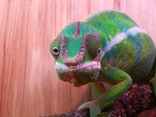 20130124_184831.jpg
