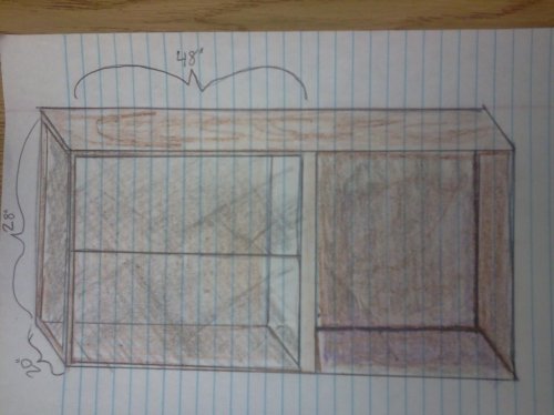 2013-01-24 13.32.46.jpg