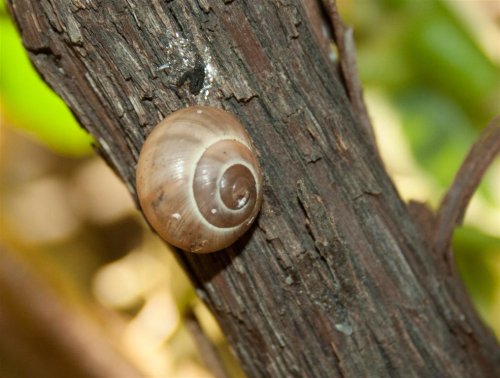 IMG_5170 (Mittel).jpg