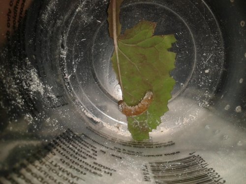 2013-01-25 01.00.03.jpg