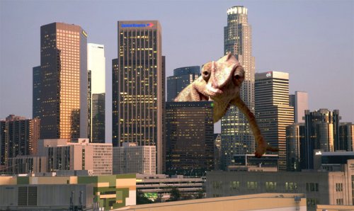 204.JPG