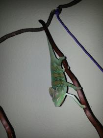 20130126_154208.jpg