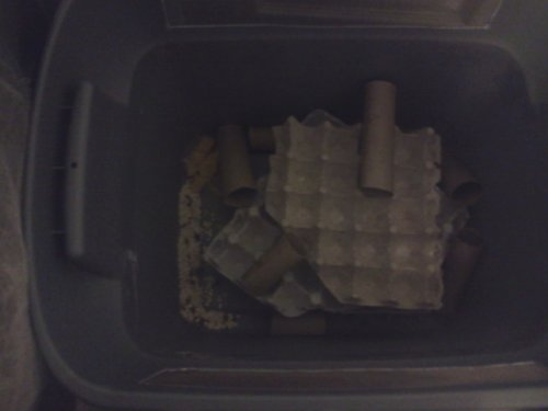 2013-01-27 14.32.51.jpg