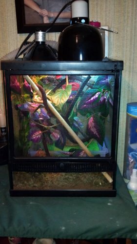 enclosure.jpg
