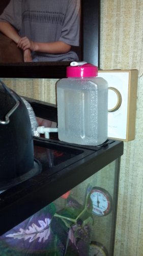 DYI water dripper.jpg