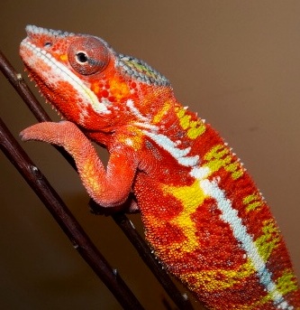 rsDSC00708.jpg