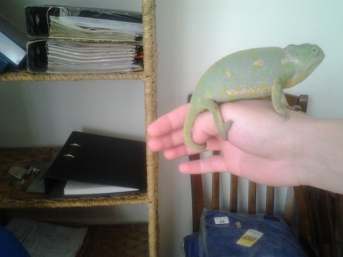 20130131_085508.jpg