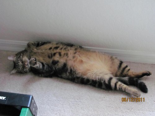 Picture 138.jpg