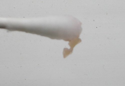 P1010352a.JPG