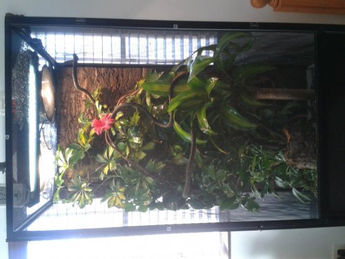 2013-01-19 16.10.40.jpg