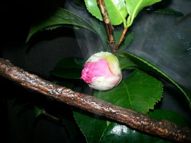 20130201_131158.jpg