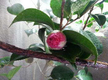 20130202_095335.jpg