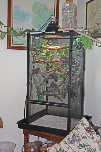 The Smidget Estate.jpg