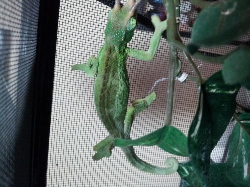 20130202_173451.jpg
