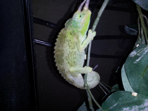 20130202_173732.jpg