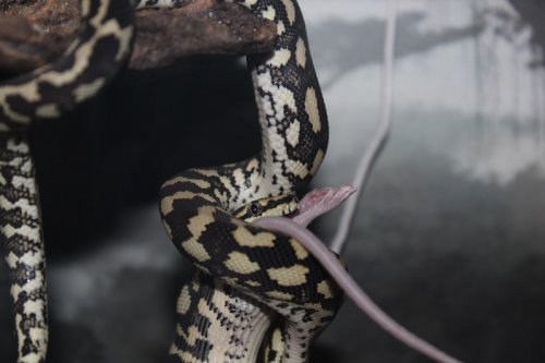 2012-12-12 08.29.43.jpg