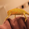 IMG_1974.JPG