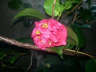 20130204_052731.jpg