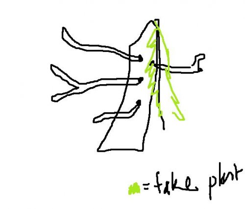 Untitled.jpg