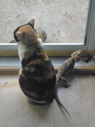 Lulu&Freckles.jpg