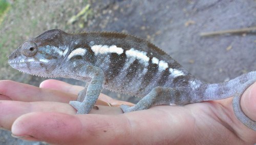 2013-02-05 16.48.42.jpg