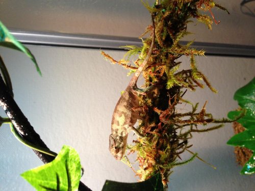 photo (1).jpg