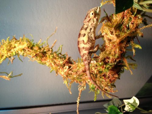 photo (5).jpg