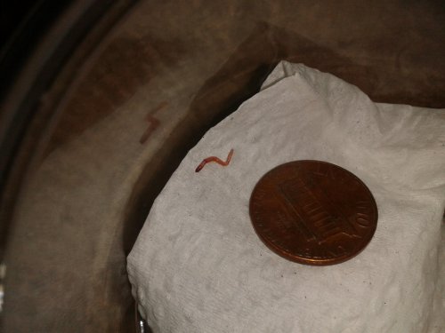 2013-02-06 21.45.15.jpg