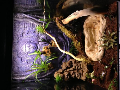 Photo Feb 06, 9 23 17 PM.jpg