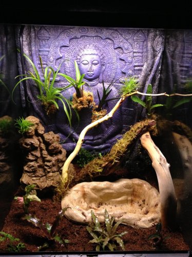 Photo Feb 06, 9 23 17 PM.jpg