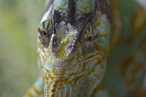 _MG_6741.jpg