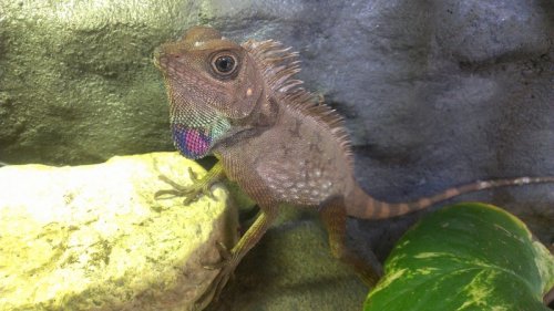 2012-11-14 12.00.12.jpg