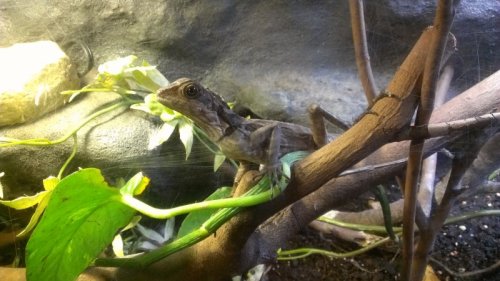 2012-12-10 17.26.02.jpg