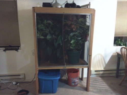 2013-02-09 19.02.35.jpg